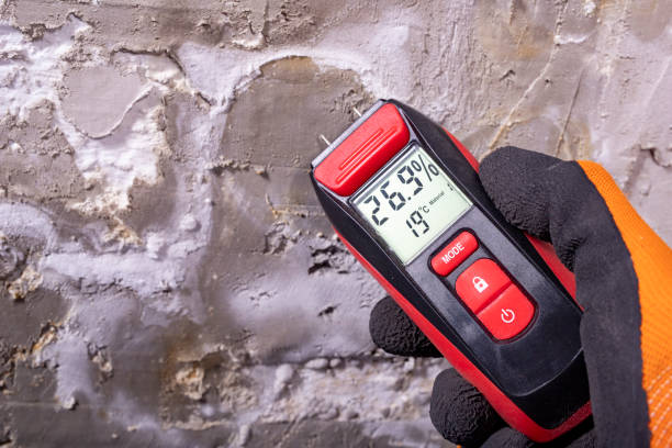 Best Health and Safety Mold Remediation in Euclid, OH